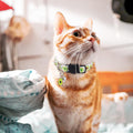 Cat Collar product image 1