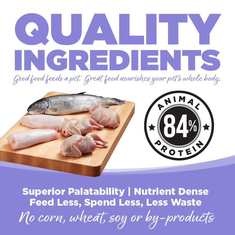 Grain Free Dog Food product image 4