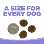 Grain Free Dog Food product image 6