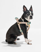 Step-In Dog Harness product image 4