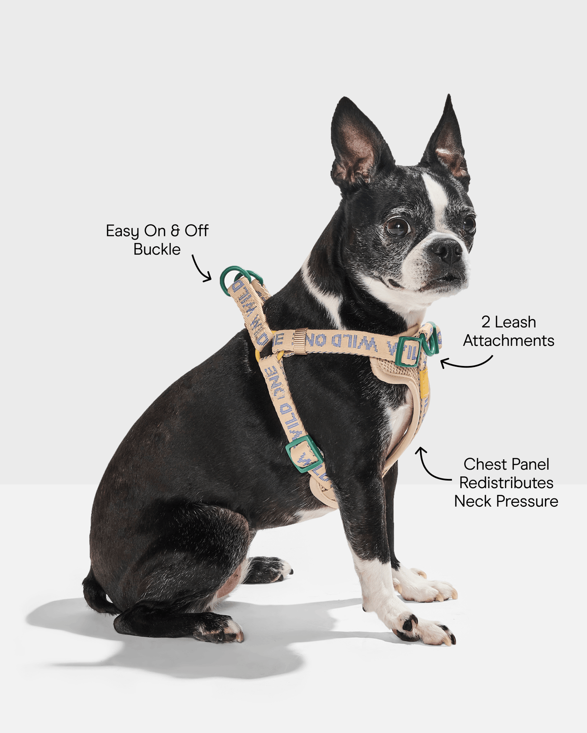 Step-In Dog Harness product image 5