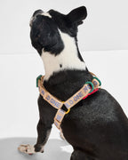 Step-In Dog Harness product image 7