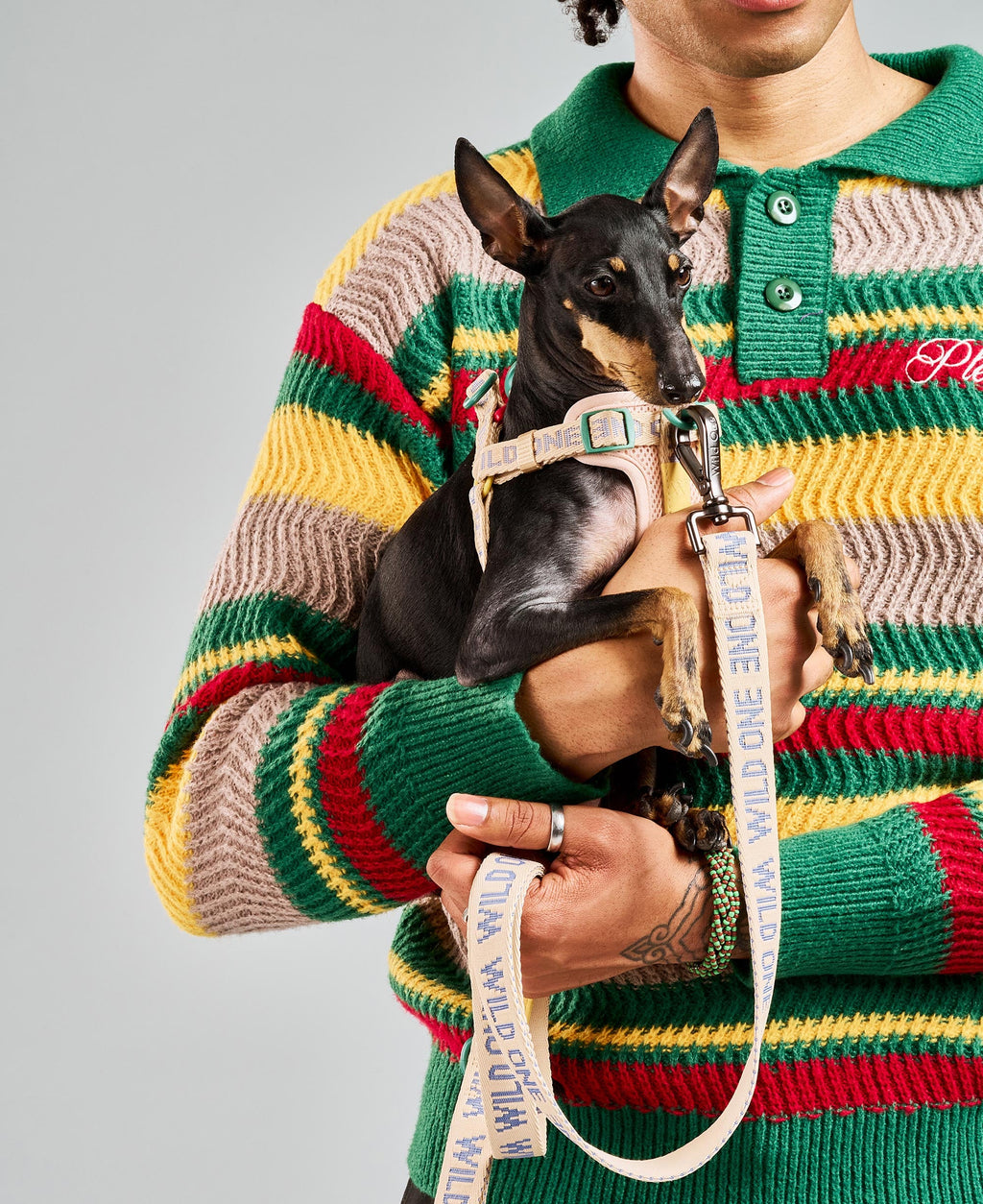 Step-In Dog Harness product image 9