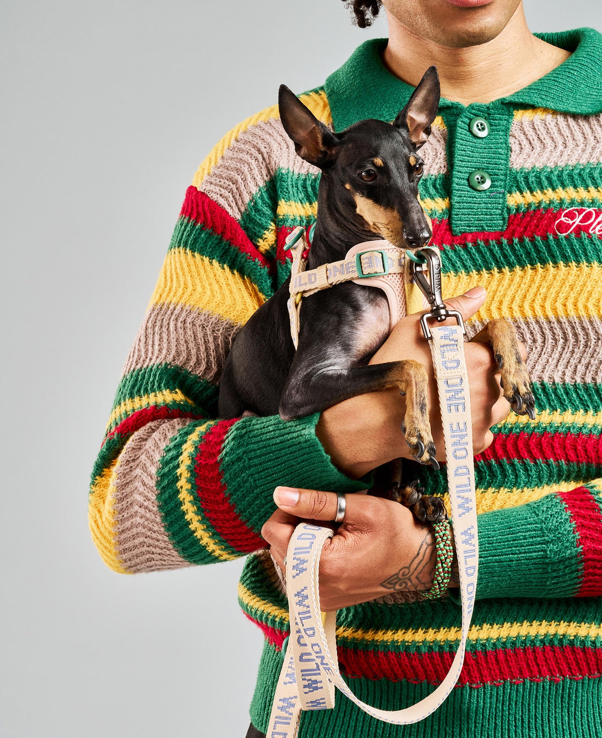 Step-In Dog Harness product image 9