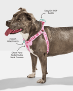 Step-In Dog Harness product image 11