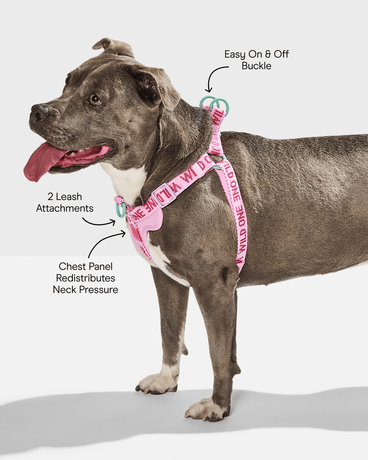 Step-In Dog Harness product image 11