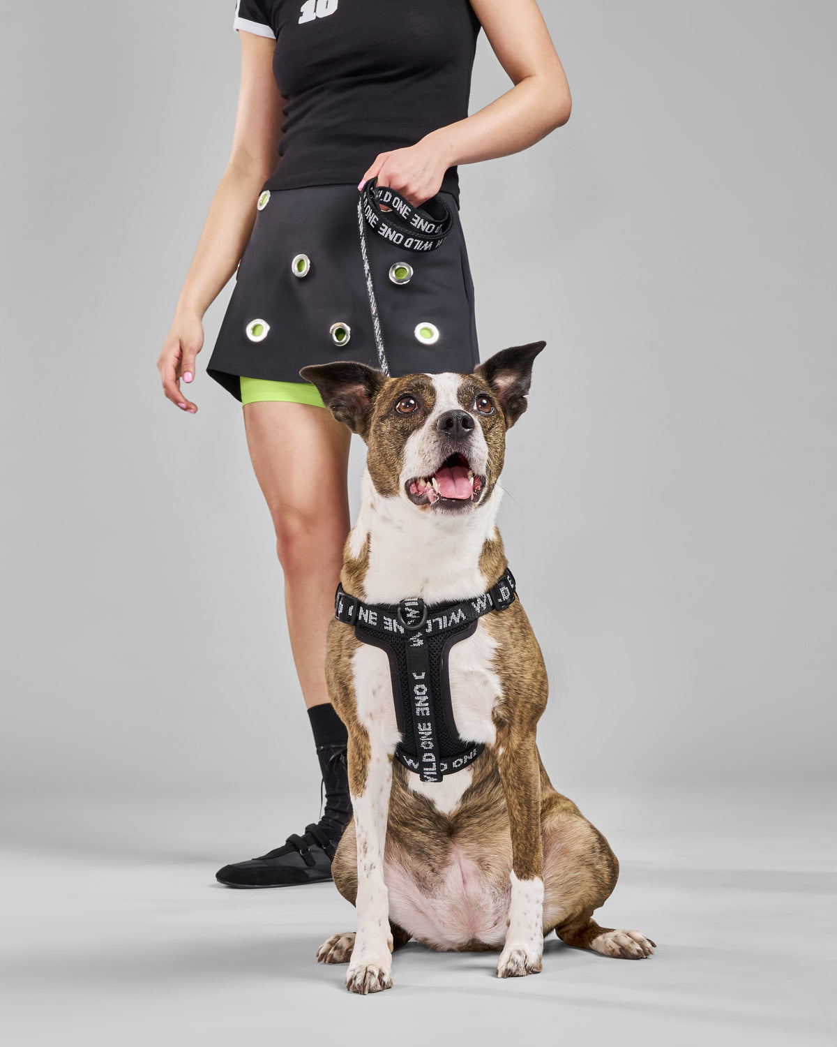 Step-In Dog Harness product image 22
