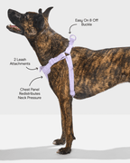 Step-In Dog Harness product image 24