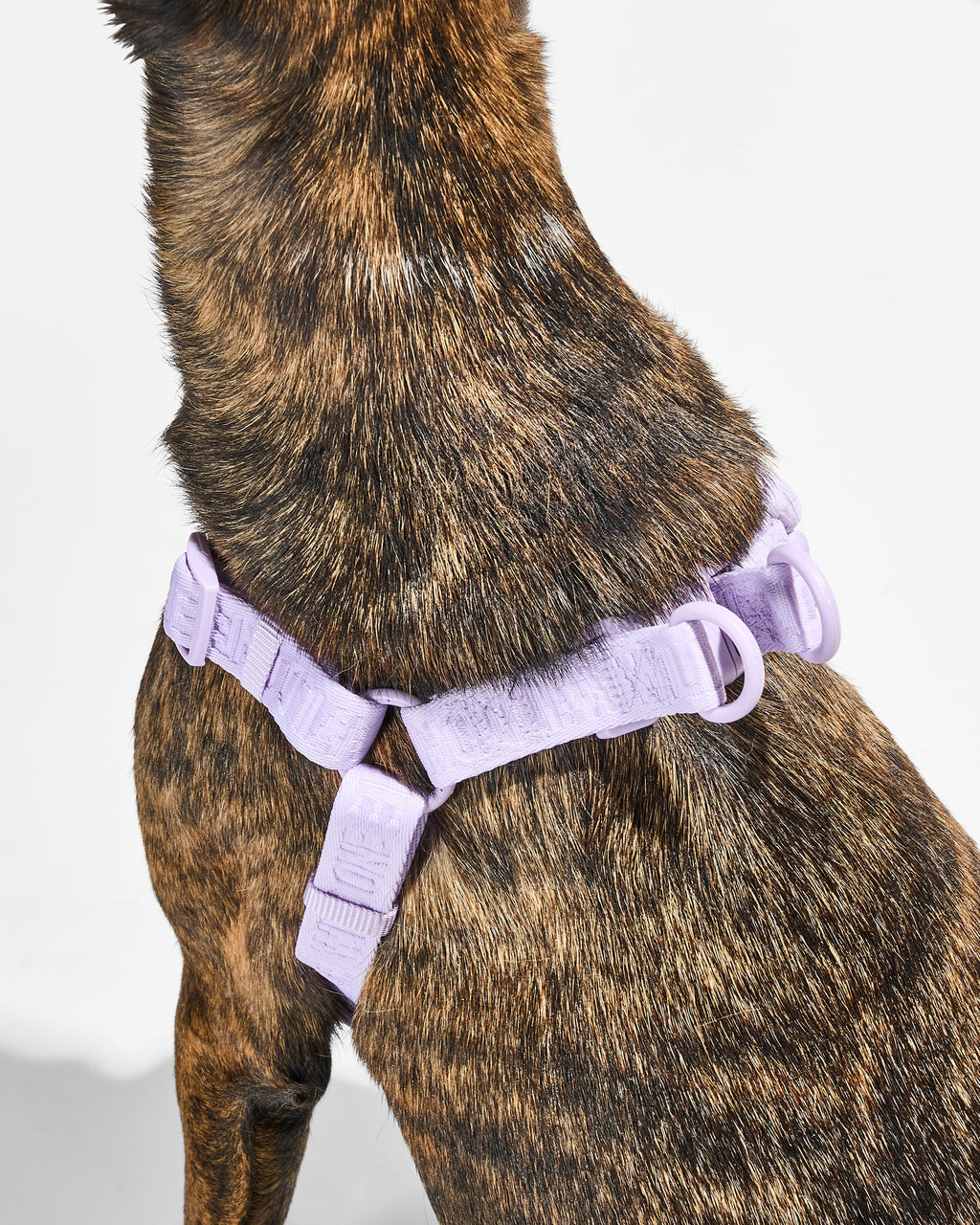 Step-In Dog Harness product image 26