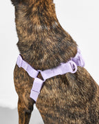 Step-In Dog Harness product image 26