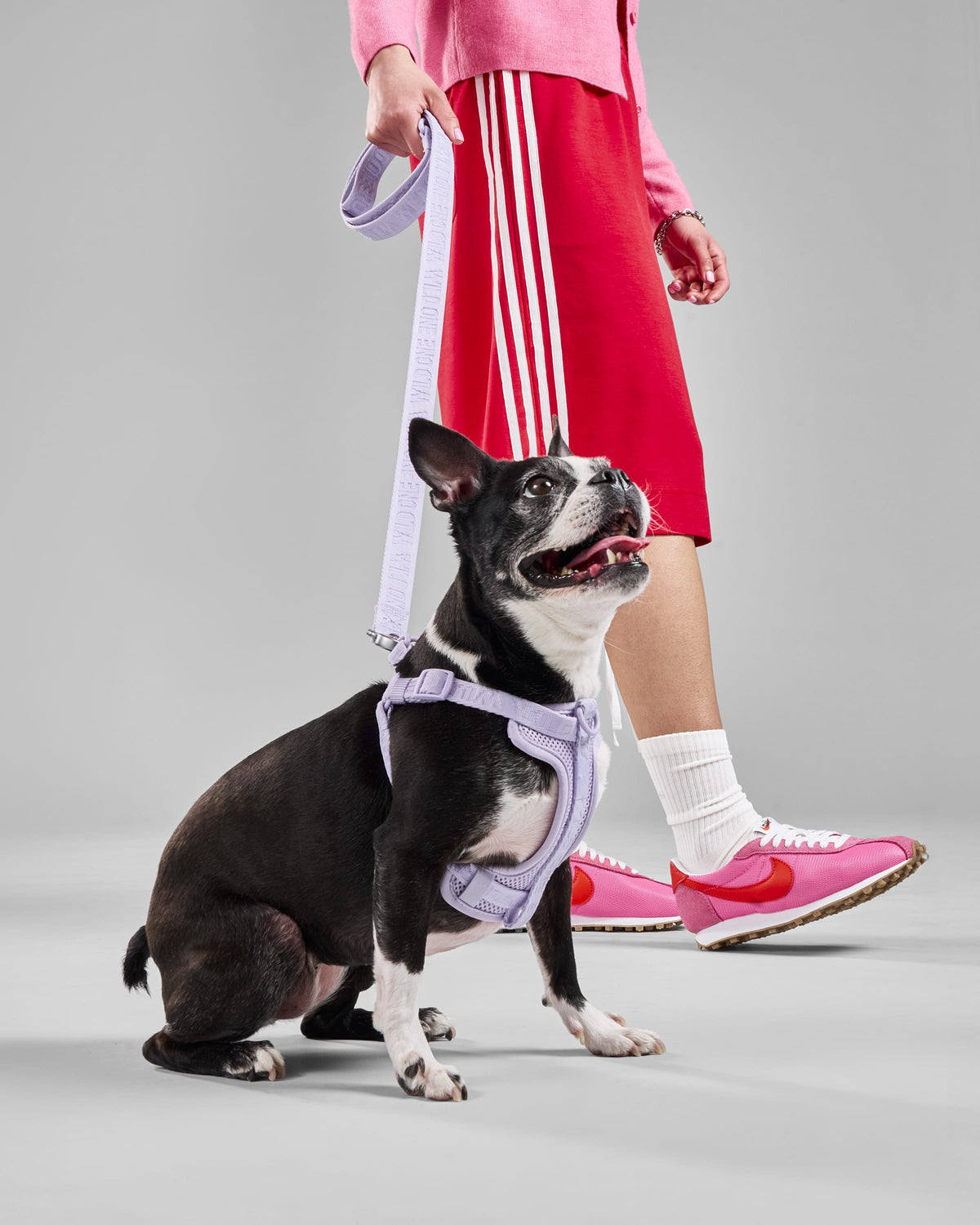 Step-In Dog Harness product image 29