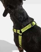 Step-In Dog Harness product image 30