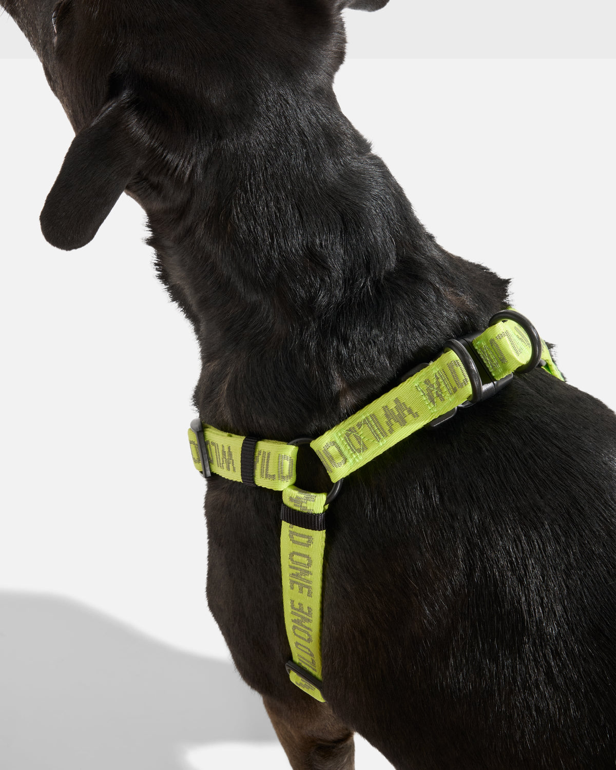 Step-In Dog Harness product image 30