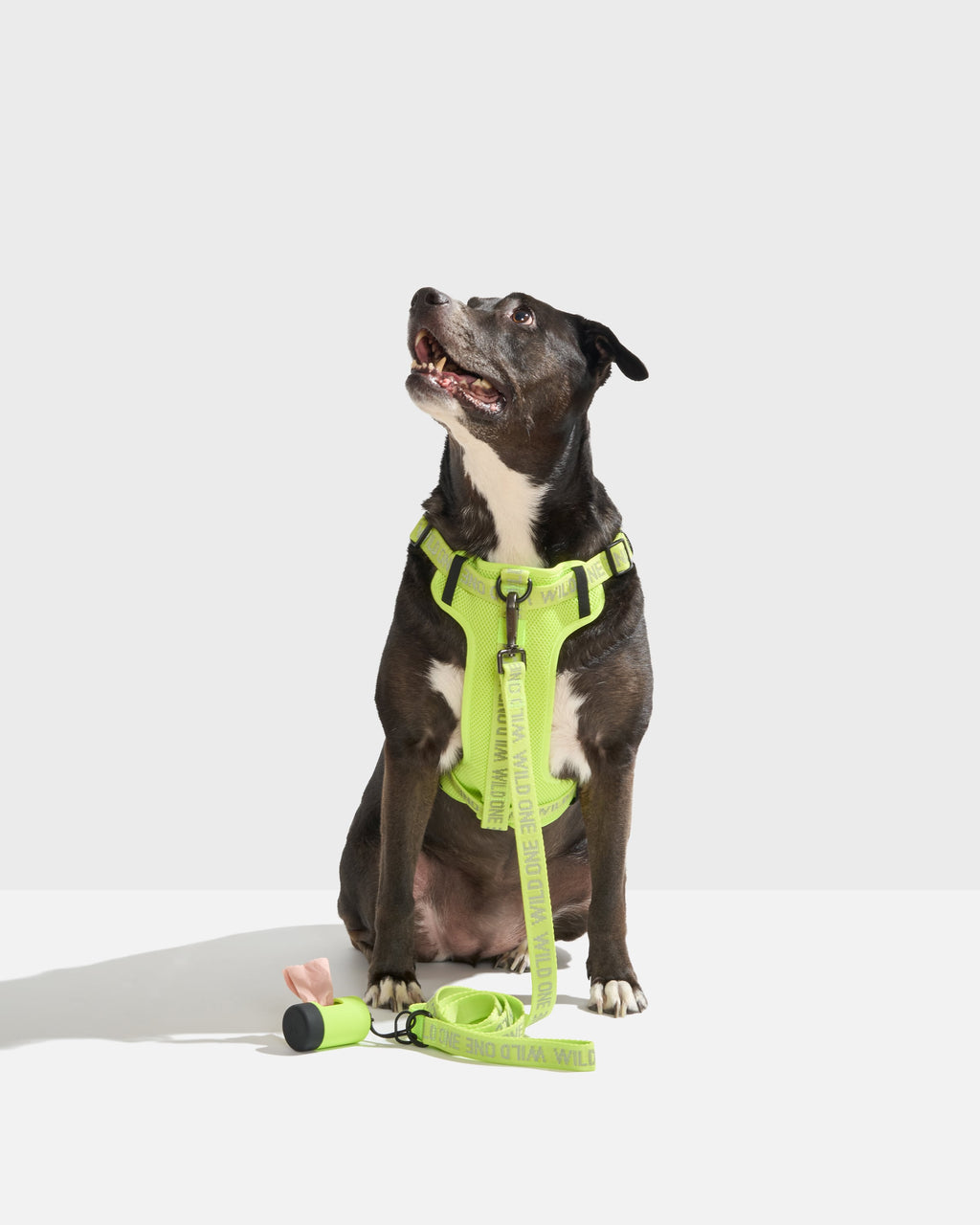 Step-In Dog Harness product image 32