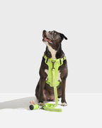 Step-In Dog Harness product image 32