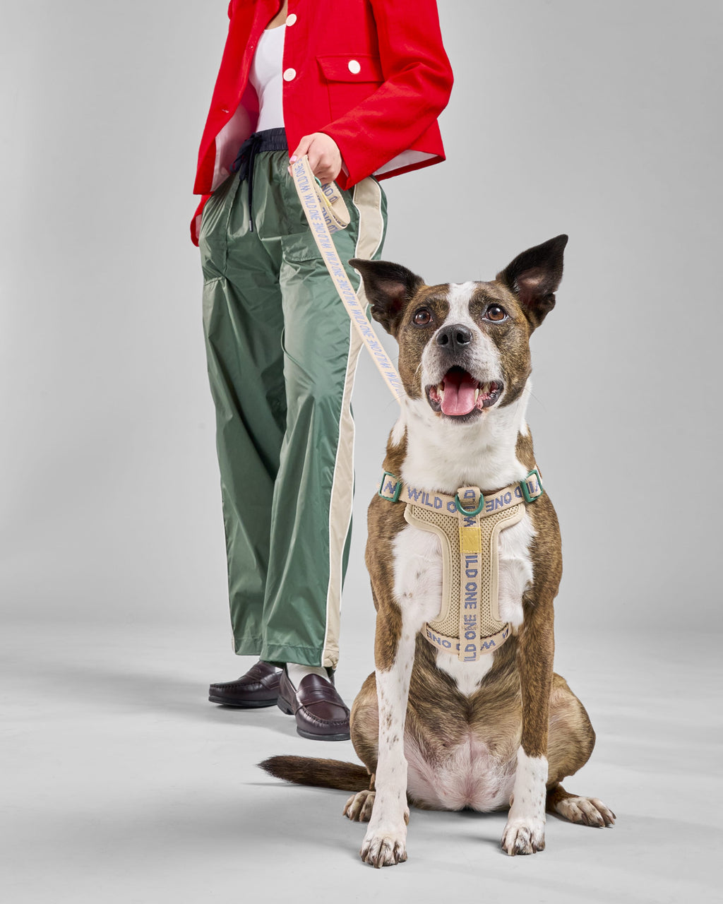 Dog Leash product image 5