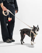 Dog Leash product image 7
