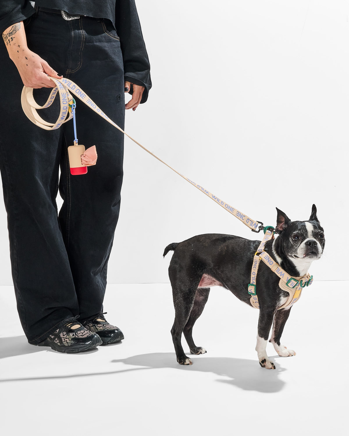 Dog Leash product image 7