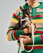 Dog Leash product image 8