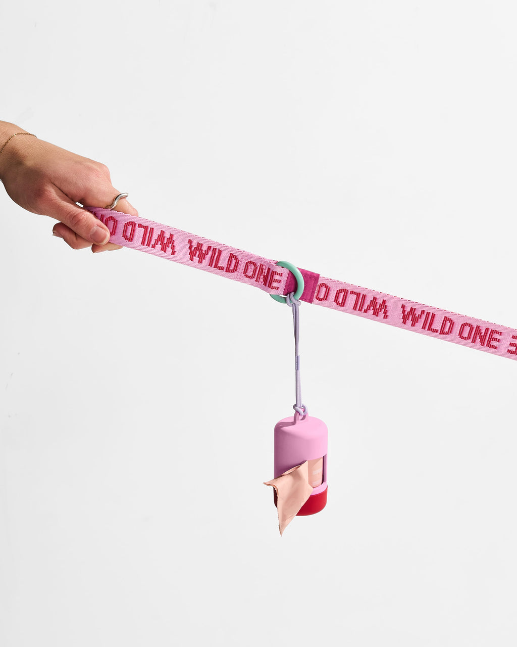 Dog Leash product image 10
