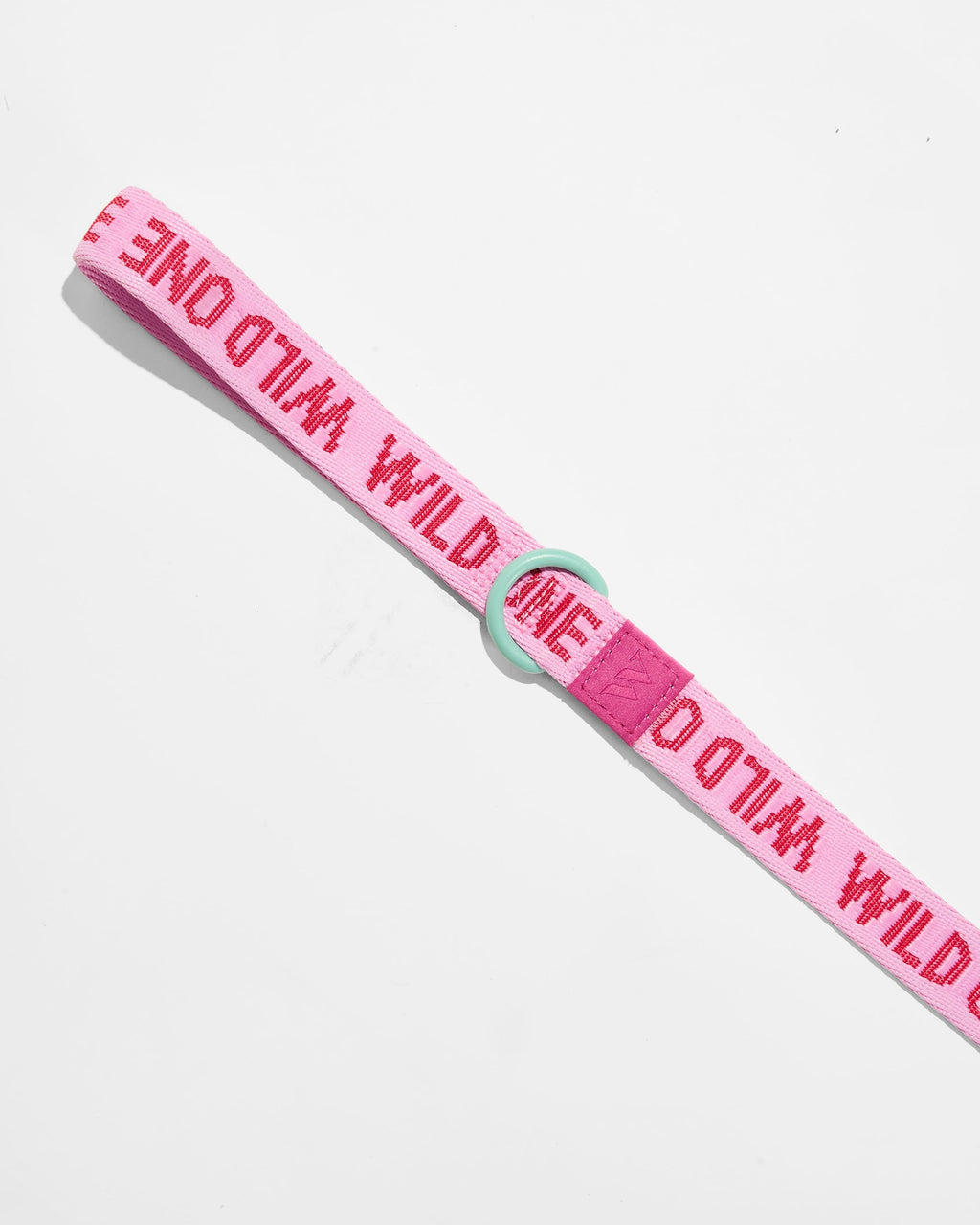 Dog Leash product image 11