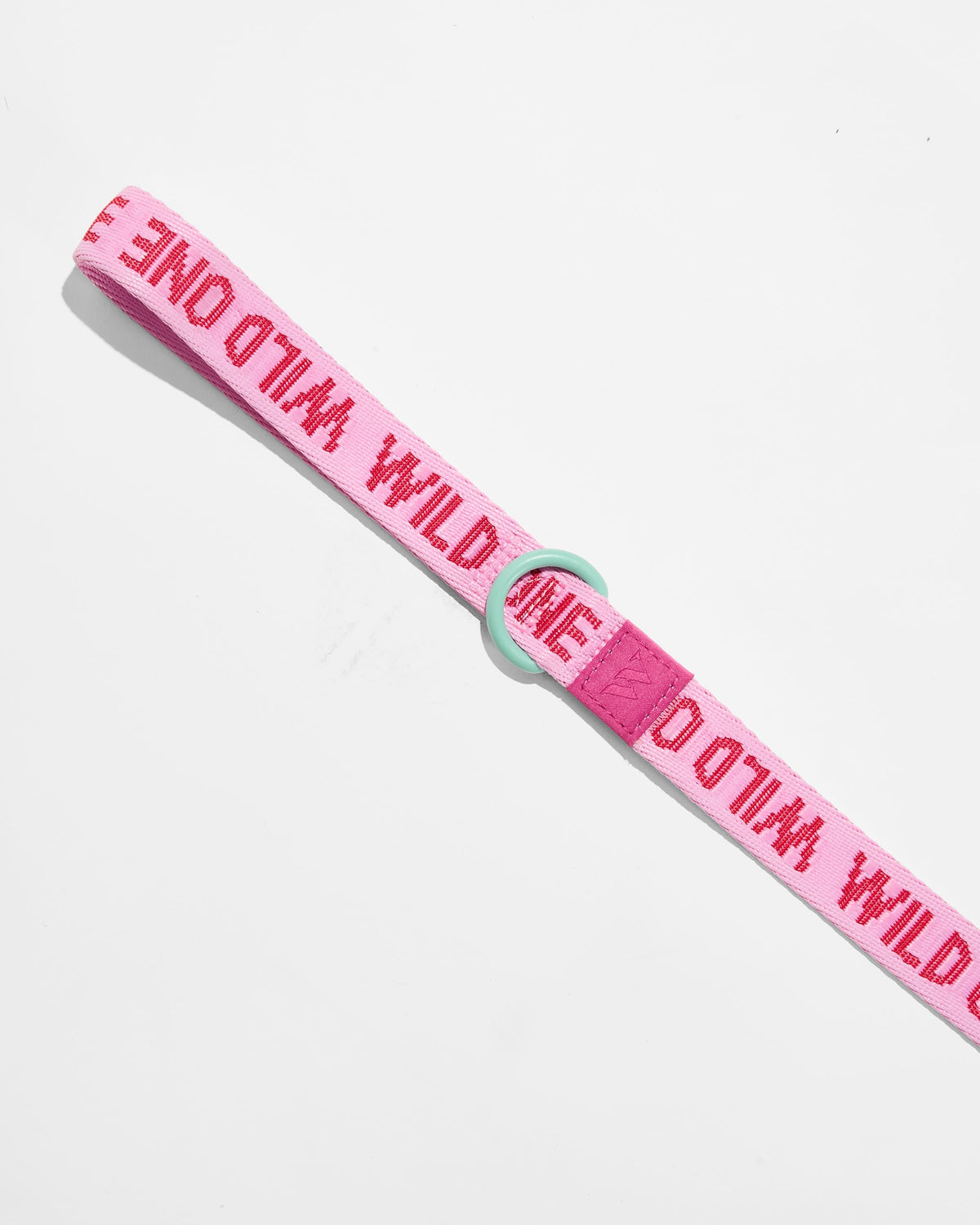 Dog Leash product image 11
