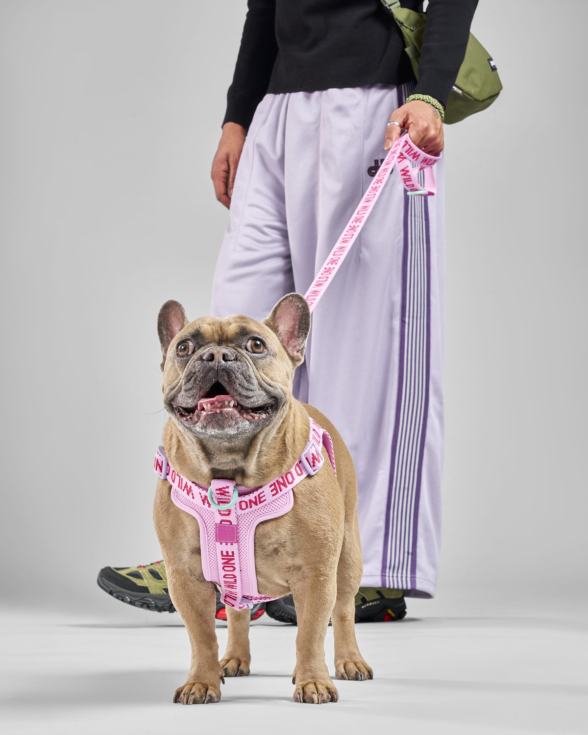 Dog Leash product image 13