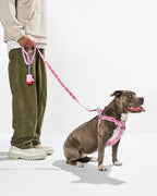 Dog Leash product image 14