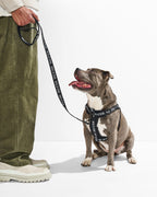 Dog Leash product image 19