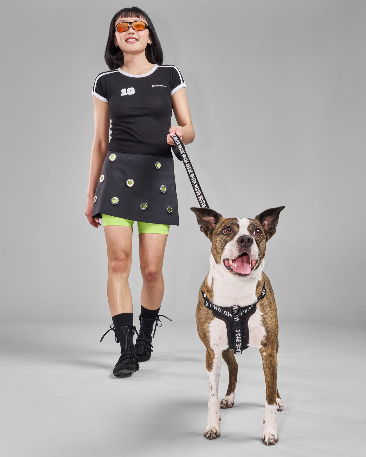 Dog Leash product image 20