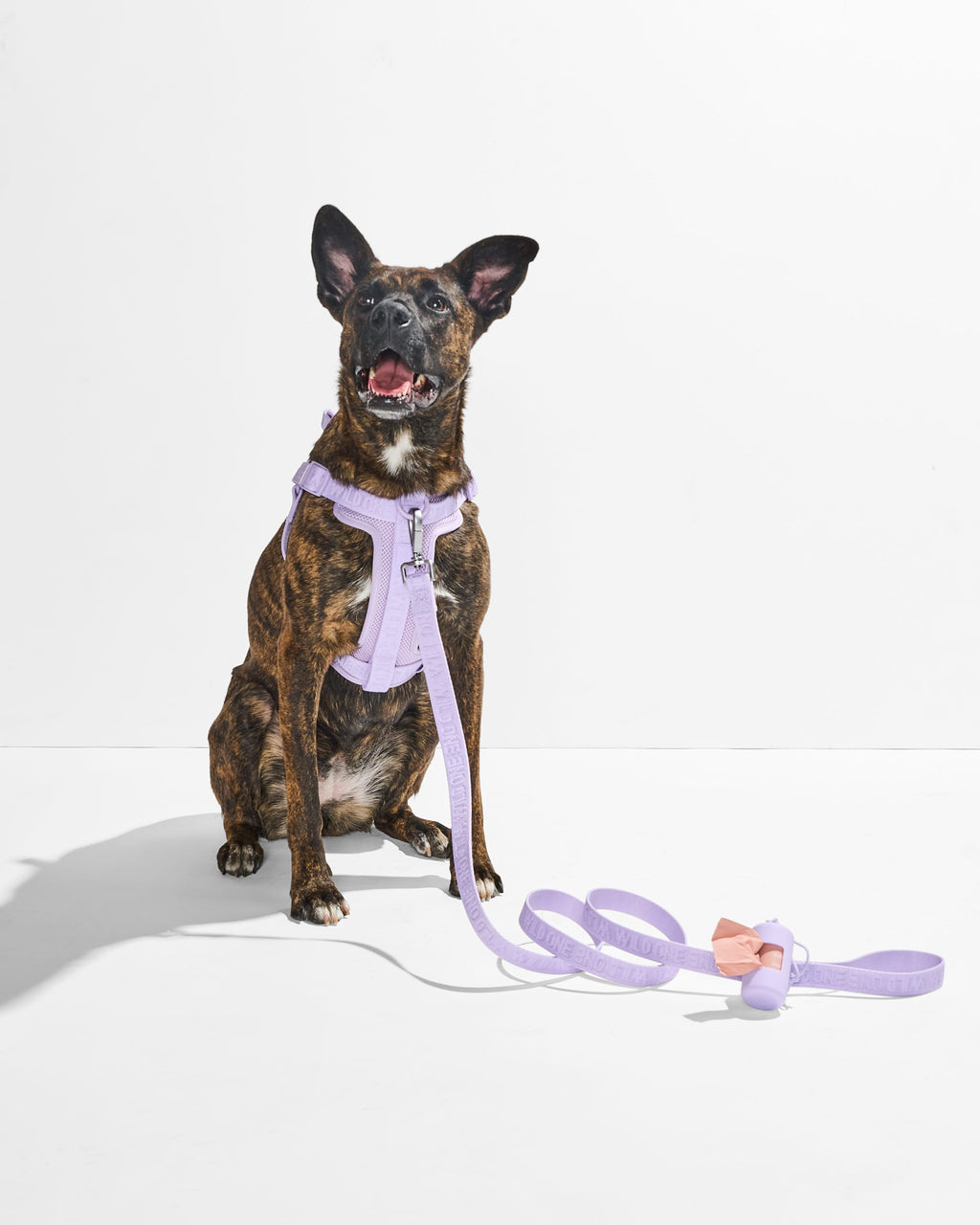 Dog Leash product image 23