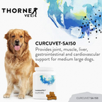Dog Joint Supplement product image 4
