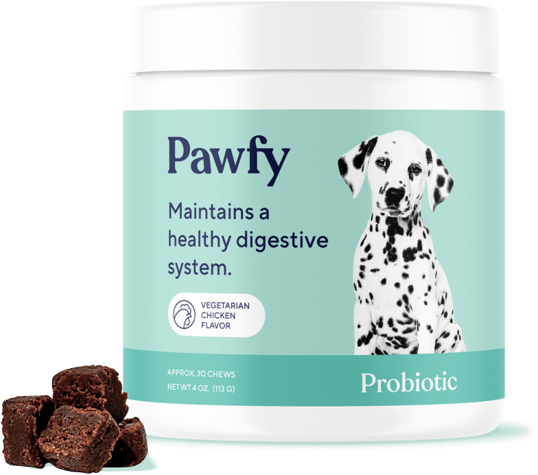 Daily Dog Multivitamin and Probiotic Chews, Default Title