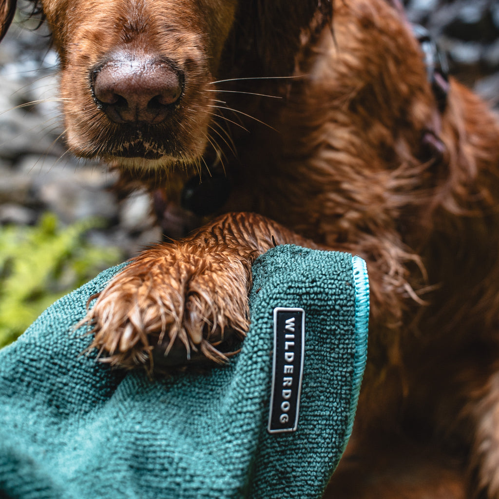 Dog Towel product image 2