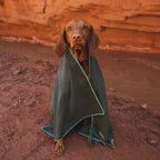Dog Towel product image 6