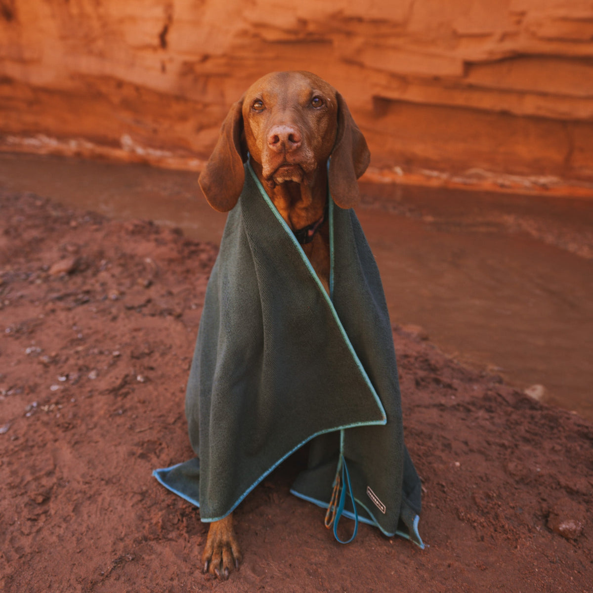 Dog Towel product image 6