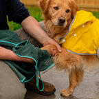 Dog Towel product image 7