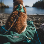 Dog Towel product image 8