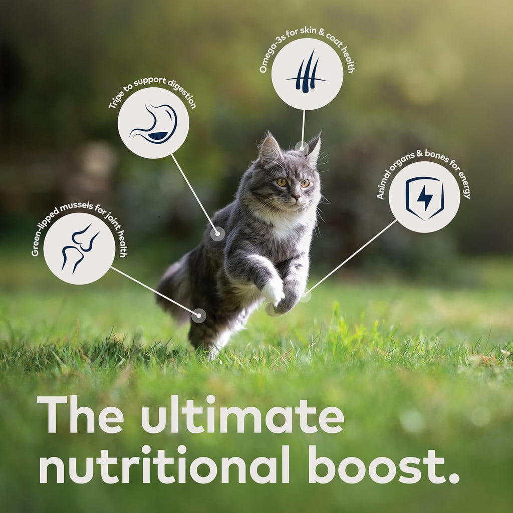 Wet Cat Food product image 4