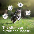 Wet Cat Food product image 4
