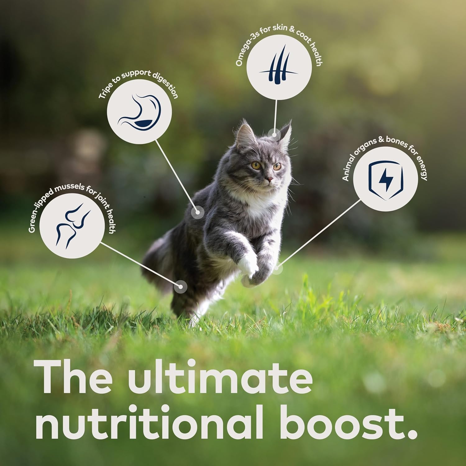 Wet Cat Food product image 4