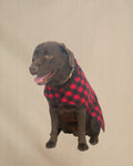 Insulated Wool Dog Coat, 50 - Red Black 1" Buffalo Check / XXS