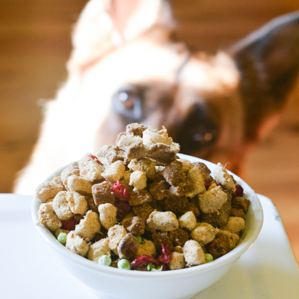Dog Food product image 3