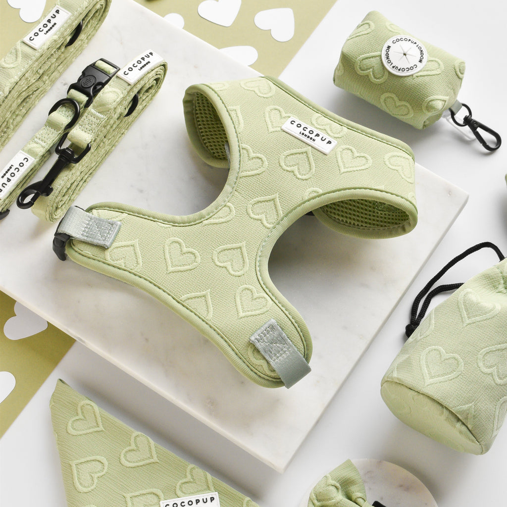 Adjustable Dog Harness product image 3