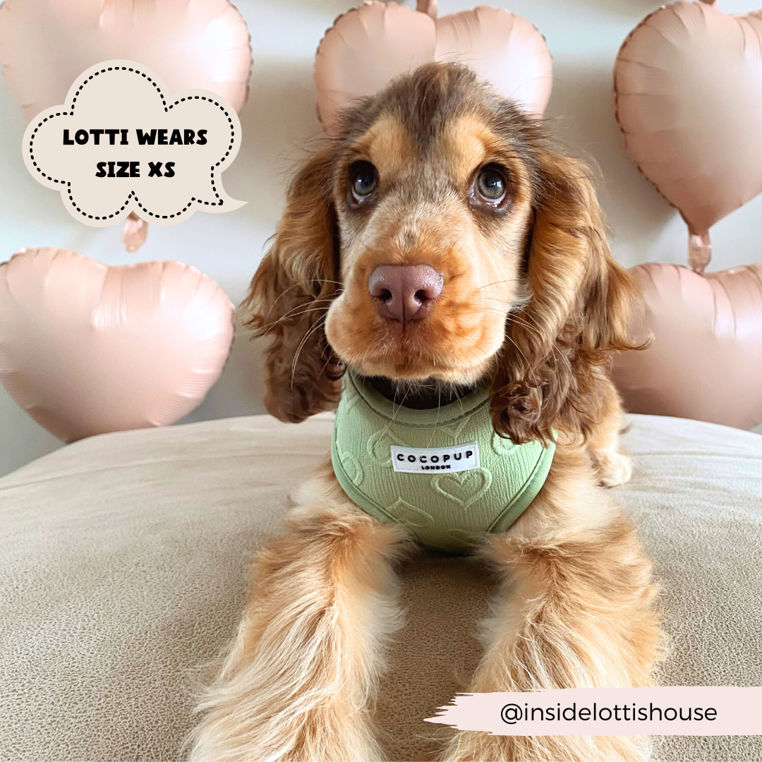 Adjustable Dog Harness product image 5