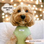 Adjustable Dog Harness product image 6
