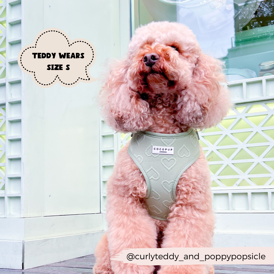 Adjustable Dog Harness product image 8