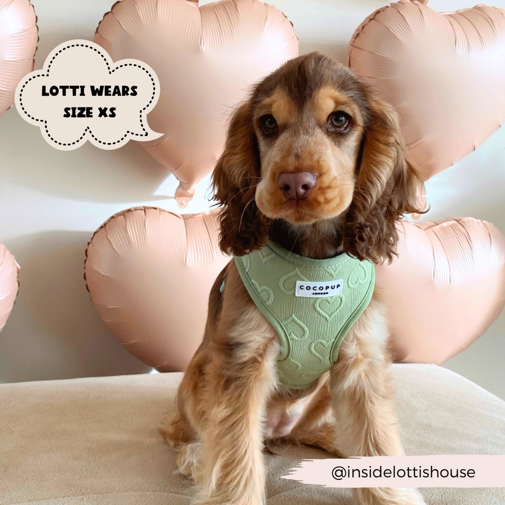 Adjustable Dog Harness product image 9
