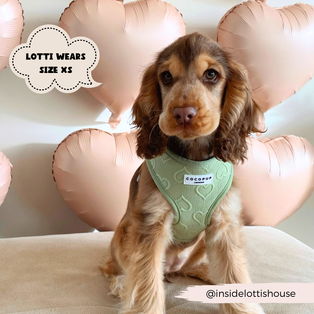 Adjustable Dog Harness product image 9