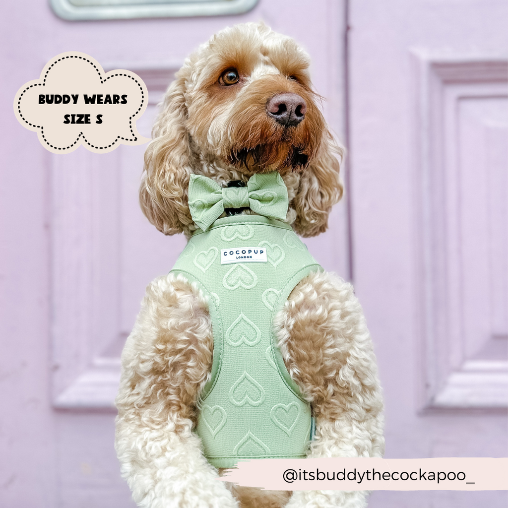 Adjustable Dog Harness product image 10